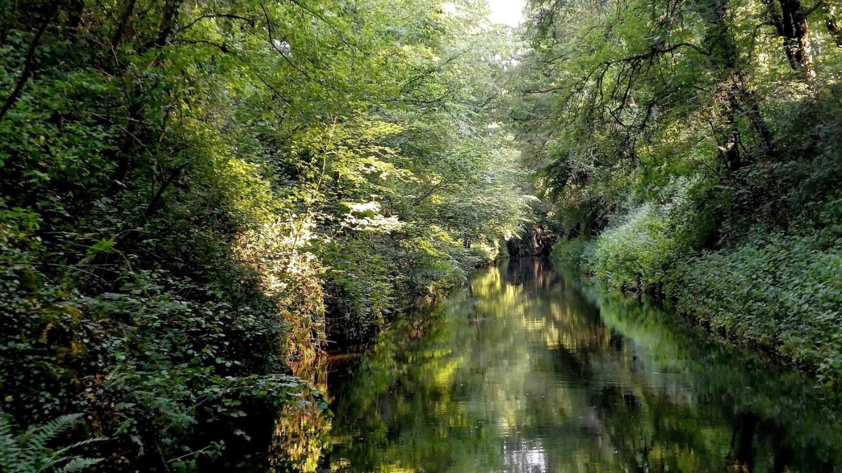Le Manivert Vitry-Lache Esterno foto