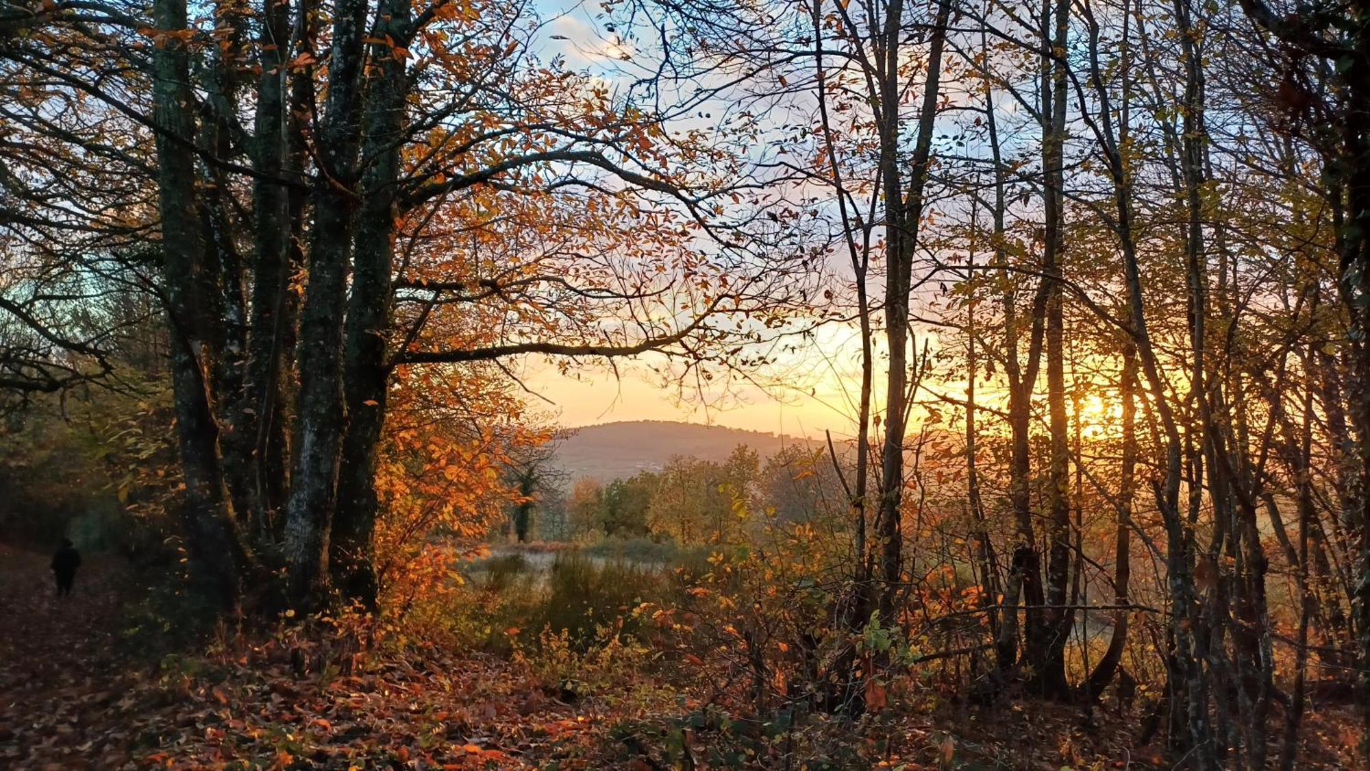 Le Manivert Vitry-Lache Esterno foto