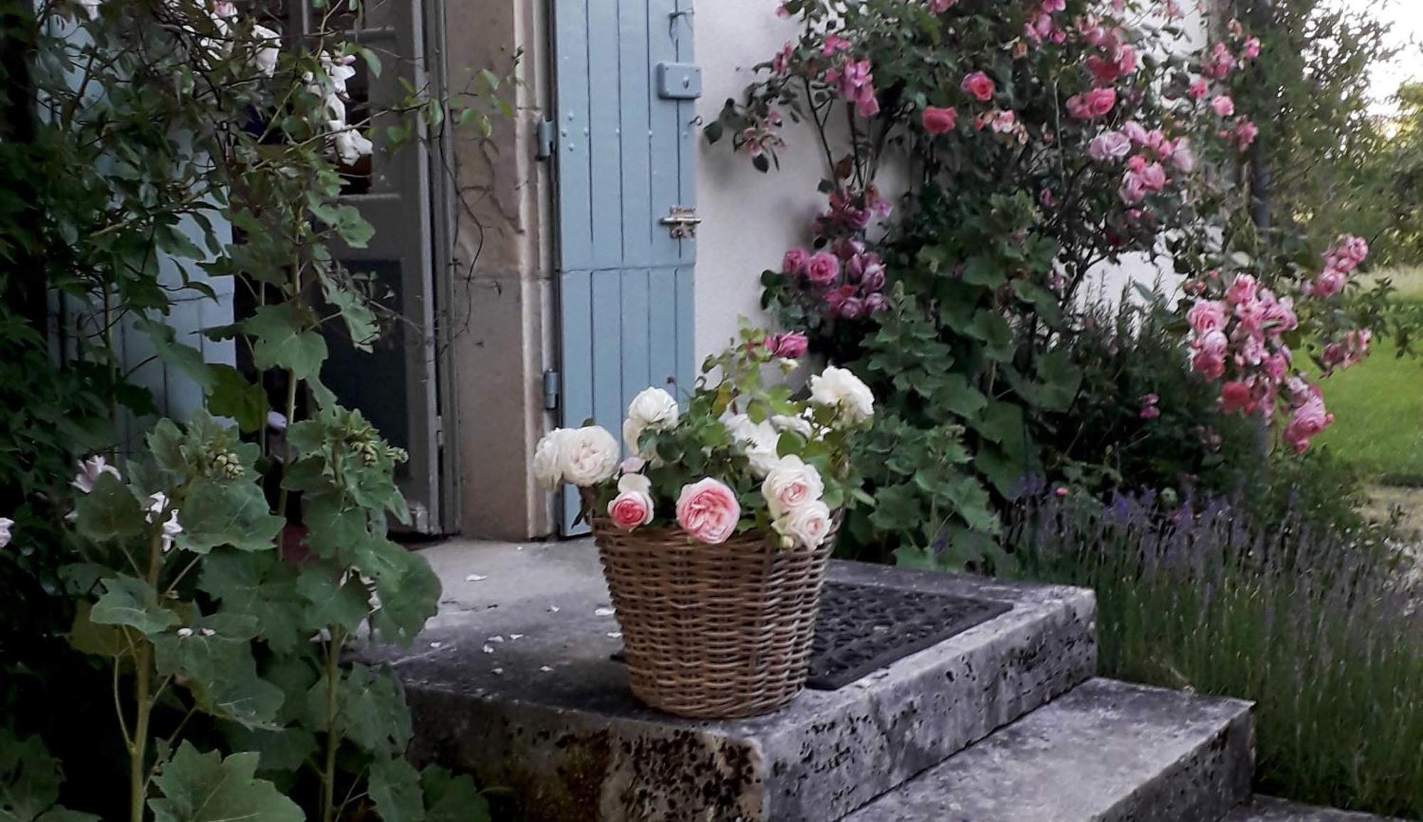 Le Manivert Vitry-Lache Esterno foto